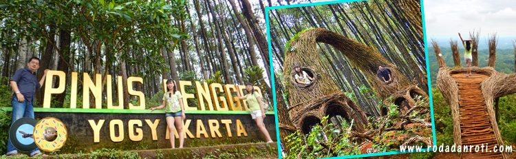 Pinus Pengger